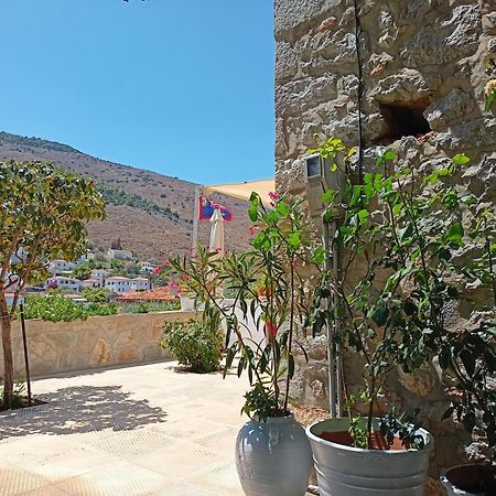 Smaragdas Paradise هيدرا المظهر الخارجي الصورة