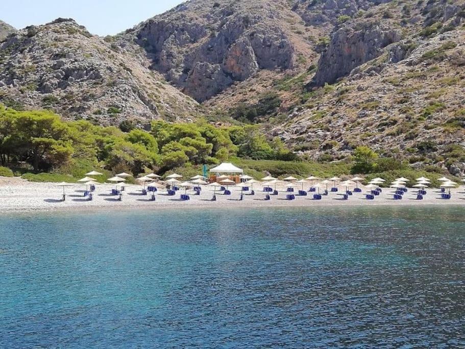 Smaragdas Paradise هيدرا المظهر الخارجي الصورة