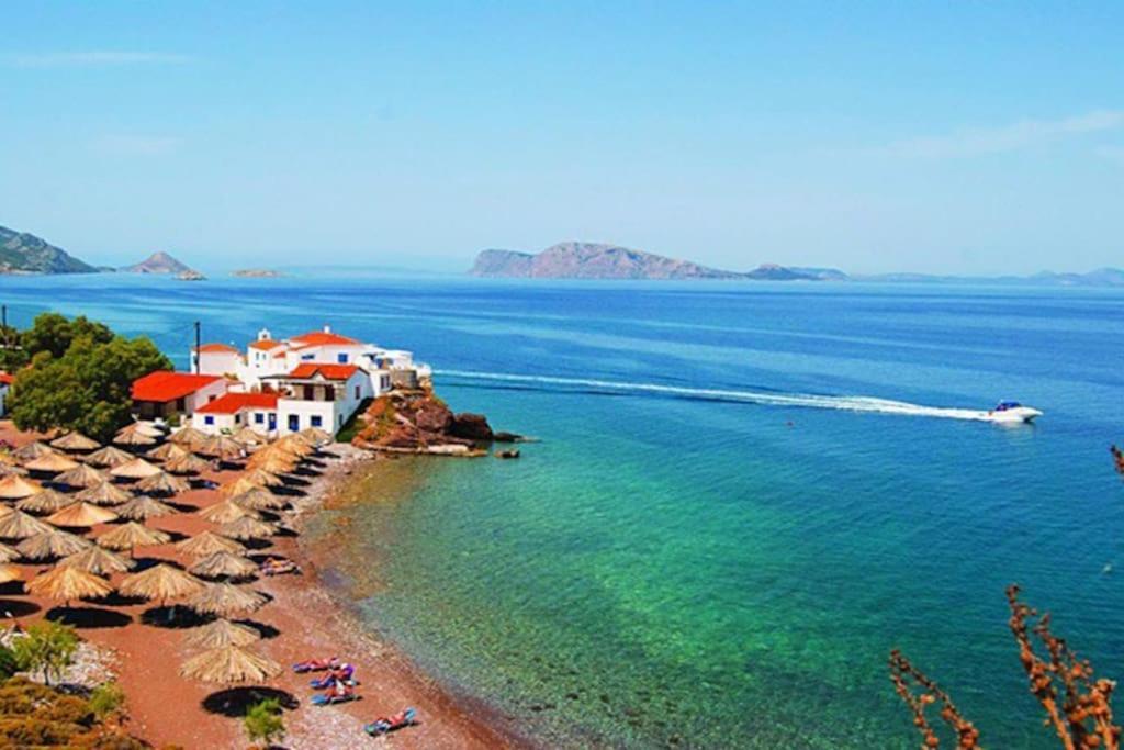 Smaragdas Paradise هيدرا المظهر الخارجي الصورة