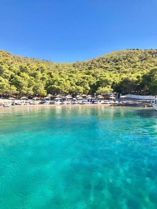 Smaragdas Paradise هيدرا المظهر الخارجي الصورة